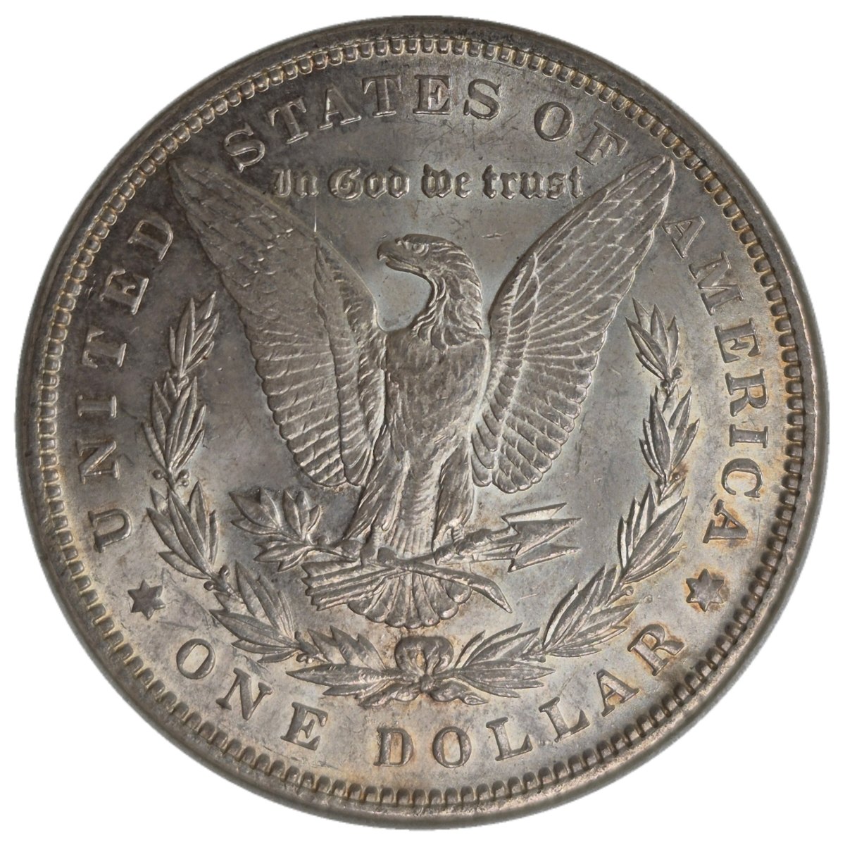 1889-$1-Morgan-Dollar-#15---23-Of-35---Obverse-Toner